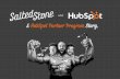 Salted Stone and HubSpot: A Partner Program Story
