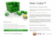 Risk-Cube Teaser Presentation