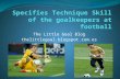 Specifies technique skill of the goalkeepers at football