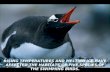 Global Warming Threatens Penguins