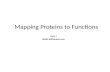 Mapping protein to function