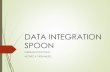 Data integraction spoon