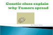 Genetic Clues Explain Why Tumors Spread 97