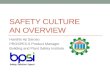 Safety Culture : An Overview