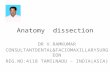 Anatomy  dissection ppt