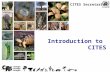 CITES Introduction