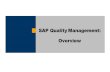 SAP Quality Management (QM)