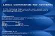 Linux Commands for Newbies