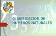 CLASIFICACION  DE NUMEROS NATURALES.ppt