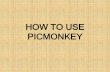 Annalissa_maliwat_how to Use Picmonkey