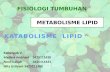 2. Katabolisme Lipid