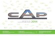 Cap Reporte Sustentabilidad 2014