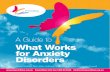 Guide to What Works for Anxiety