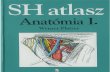 SH Atlasz - Anatómia