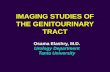 Imaging Studies of the Genitourinary Tract