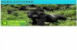 Rwanda gorilla Safaris