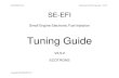 Small Engine EFI Tuning Guide