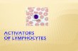 6 Lymphocyte Activators and Antigen Recognition 3