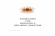 Building of Abattoirs-VPH-PLANS-05-Guidelines-RedMeat.pdf