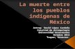 La Muerte Entre Los Pueblos Indígenas de México
