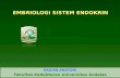Kp 1.2.1.2 (1) Embriologi Sistem Endokrin 1.2