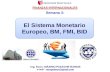 Sistema Monetario Europeo, BM, FMI, BID