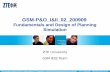 GSM-P&O_I&II_02_200909 Fundamentals and Design of Planning Simulation