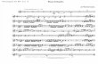 Raridade - Trumpet in Bb 2 e 3.pdf