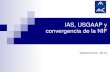 IAS USGAAP y Convergencia de La NIF