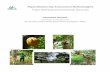 Biodiversity of Cacao in Ghana.pdf