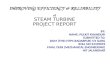 Pulkit Ppt Steam Turbine3 (2)