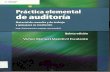 PRACTICA ELEMENTAL DE AUDITORIA - FL.pdf