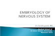 Embryology of Nervous System New13