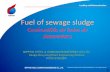 Fuel of Sewage Sludge