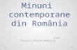 Minuni  contemporane din România.pptx