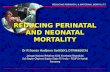 06 Reducing Perinatal & Neonatal Mortality