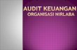 3. Audit Organisasi Nirlaba