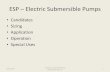 ESP – Electric Submersible Pumps