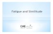 CAEF [3] Fatigue_Similitude