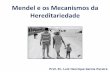 Aula - Mendel e Os Mecanismos Da Hereditariedade