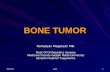 Workshop Bone Tumor