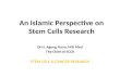 Perfective Stem Cell in Islam