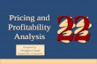 ch22 (Pricing and Profitability Analysis).ppt