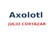 Axolotl. Julio Cortázar