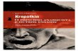o Principio Anarquista e Outros Ensaios de Piotr Kropotkin Livro