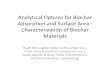 Analytical Options for BioChar Adsorption and Surface Area Characterization of Biochar Materials PPT 2012