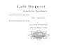 Control System Lab Report
