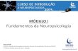 03.10.13, Aula 1 Neuropsi Cog e Lobo Frontal Sist Limbico (1)