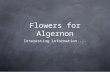 Flowers for Algernon Interesting information.....