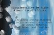 Sustainability in Tight Times: Local Efforts Building and maintaining an infrastructure of care for women, infants, children, and families. Supported in.